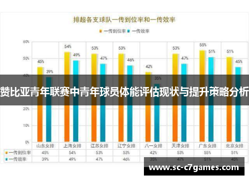 赞比亚青年联赛中青年球员体能评估现状与提升策略分析