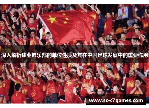 深入解析建业俱乐部的单位性质及其在中国足球发展中的重要作用