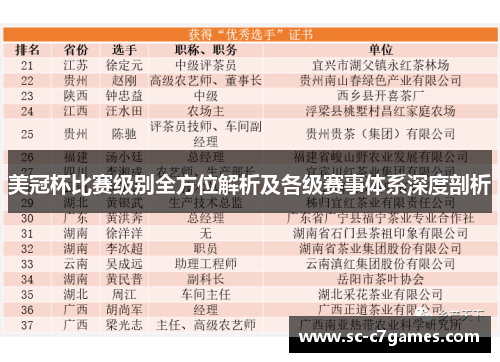 美冠杯比赛级别全方位解析及各级赛事体系深度剖析