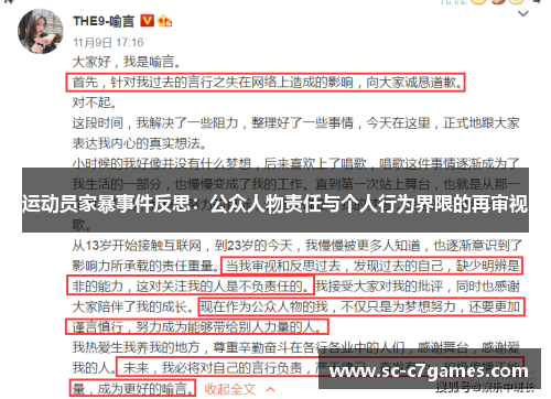 运动员家暴事件反思：公众人物责任与个人行为界限的再审视