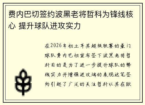 费内巴切签约波黑老将哲科为锋线核心 提升球队进攻实力 费内巴切签约波黑老将哲科为锋线核心 提升球队进攻实力